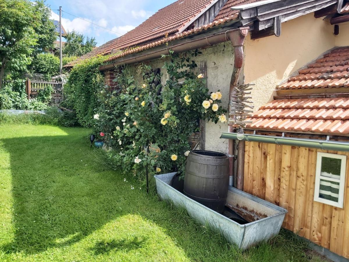 Anno- Ihre Wohlfuehloase Mit Garten In Klingenbrunn